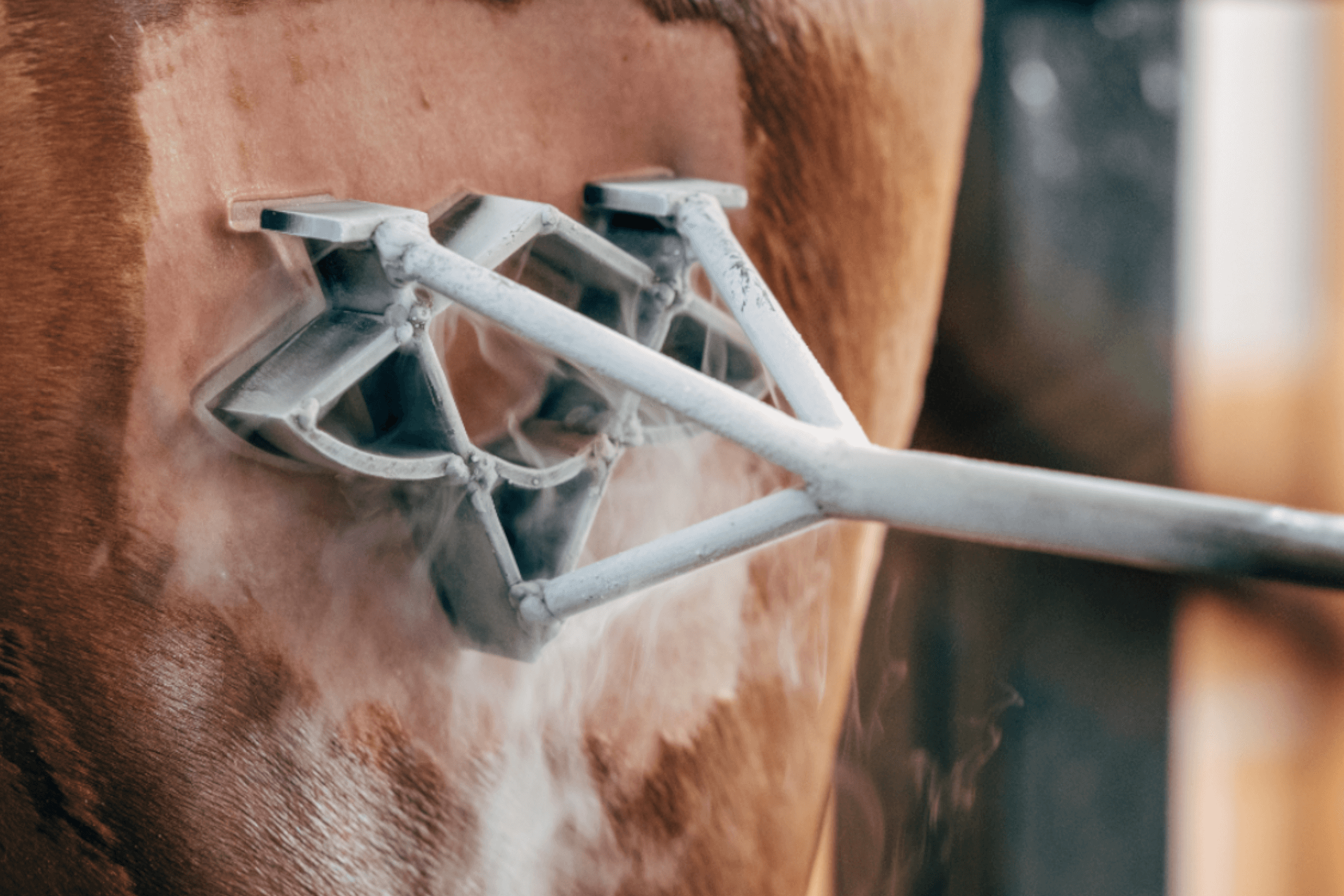 Branding iron