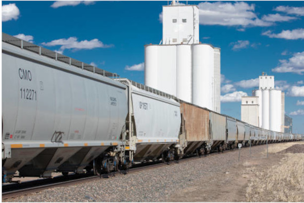 Train Railcars