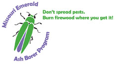 Emerald Ash Borer Program Logo